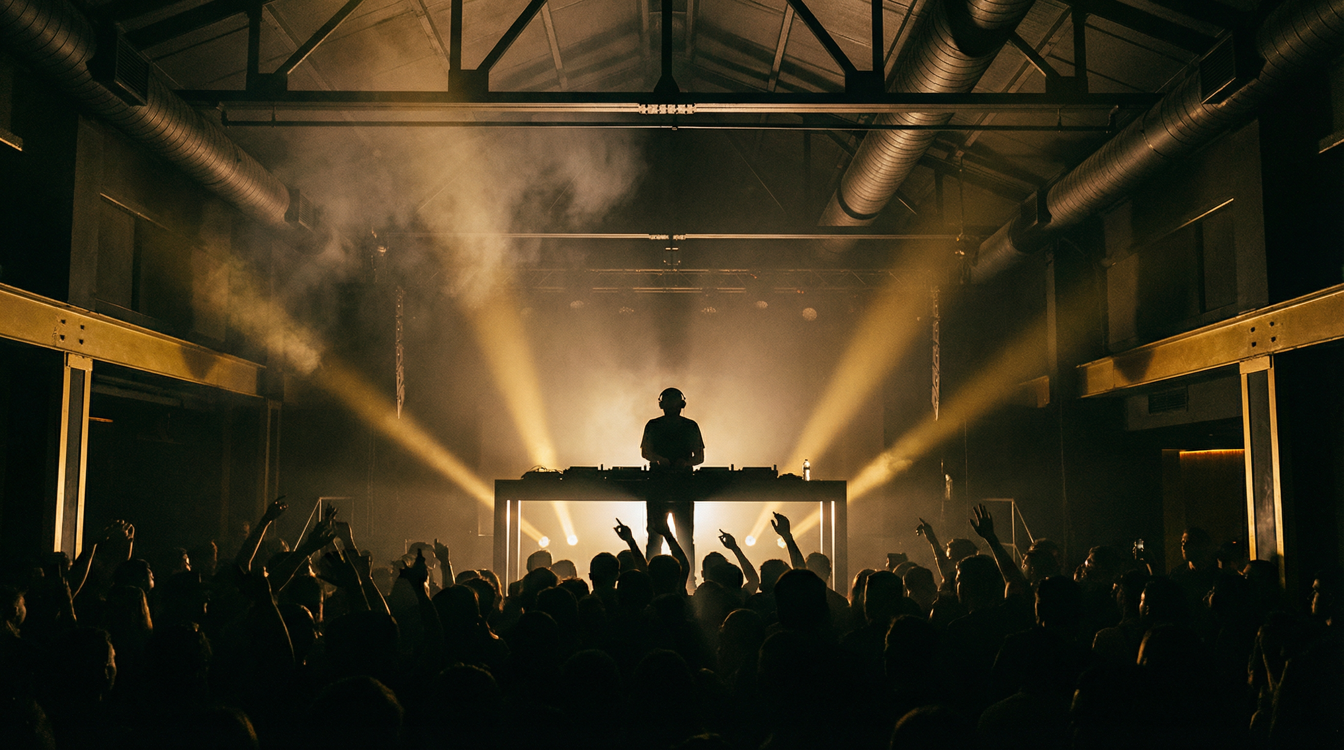 LiveDJPro Performance